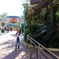 A Hug for Sue the T-Rex